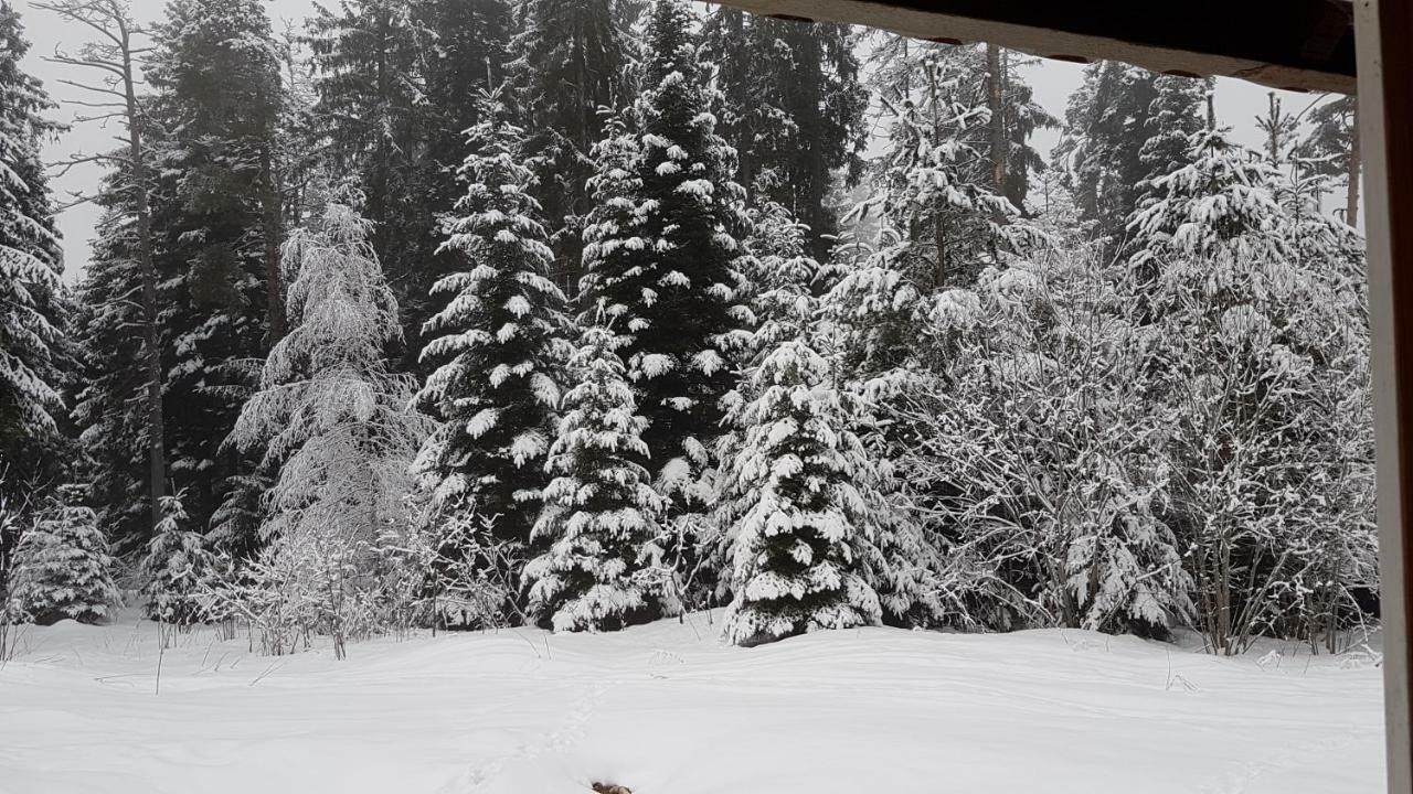 Chalet Taffski Borovets Exterior photo